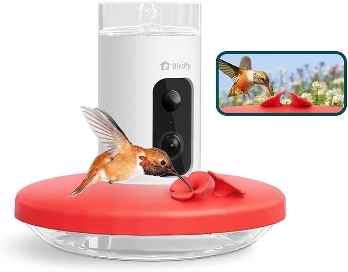 Netvue birdfy hummingbird camera feeder