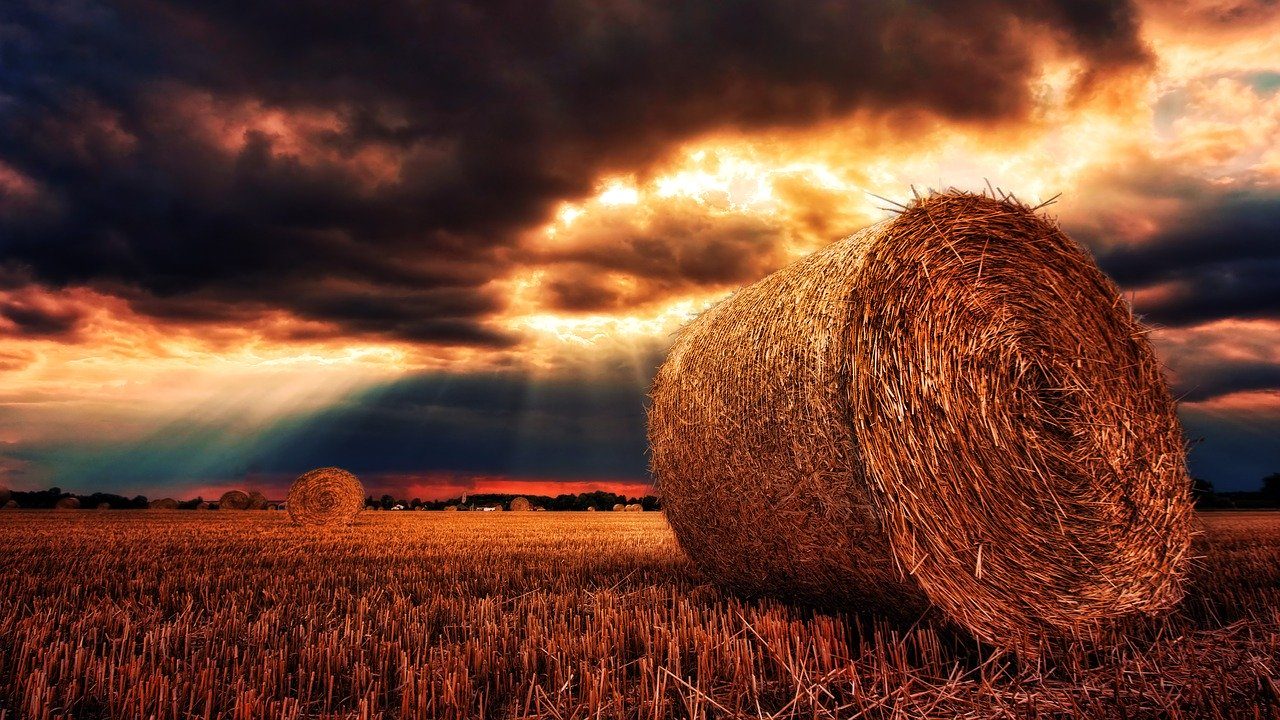 Store hay outside as part of barn fire prevention
